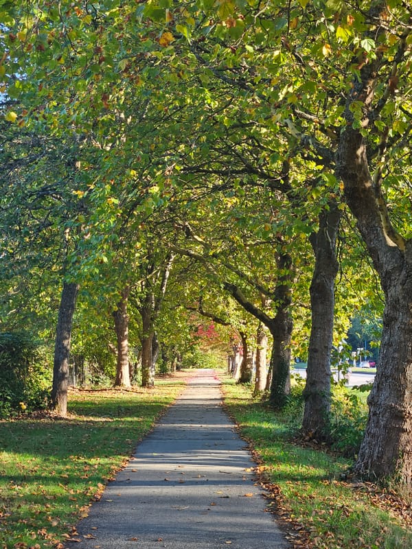 Lielā staigāšana un vēl pāris lietas